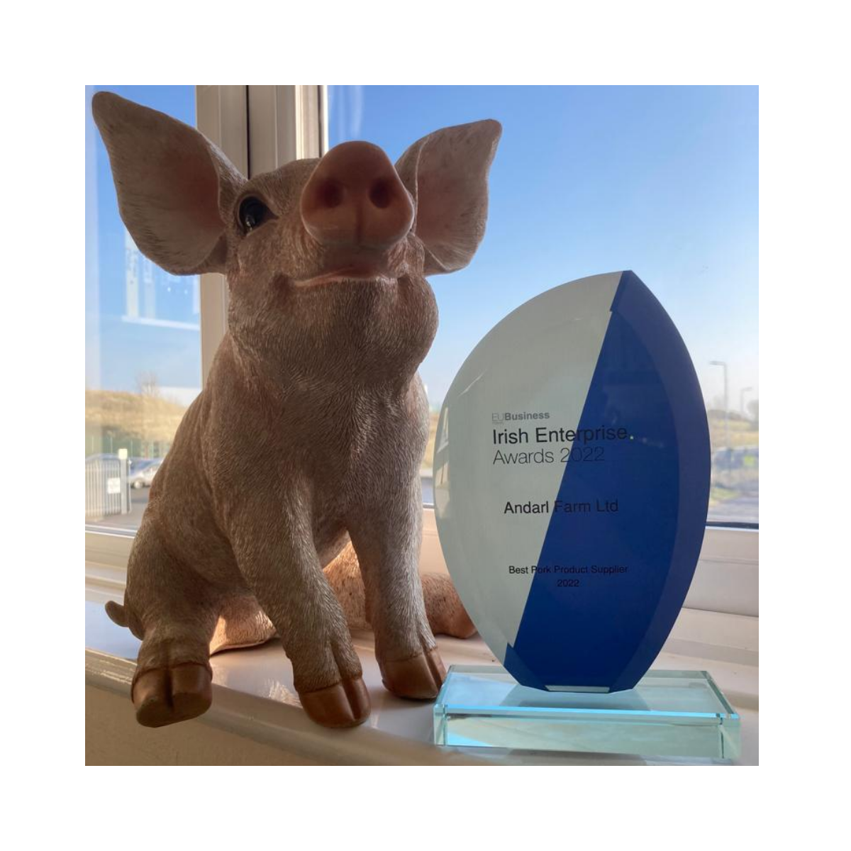 Irish Enterprise Awards 'Best Pork Product Supplier 2022'